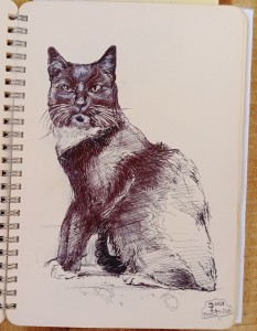 2023 - Kočka, Ponožka, peroa akryl, 20 x 15 cm